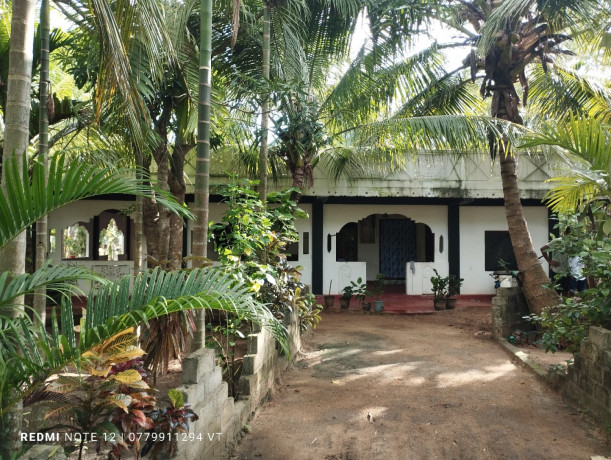 house-for-sale-in-vavuniya-big-0