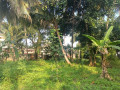 land-for-sale-in-jaffna-small-0