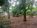 land-for-sale-in-urumpirai-jaffna-small-1