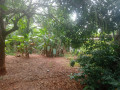 land-for-sale-in-urumpirai-jaffna-small-0
