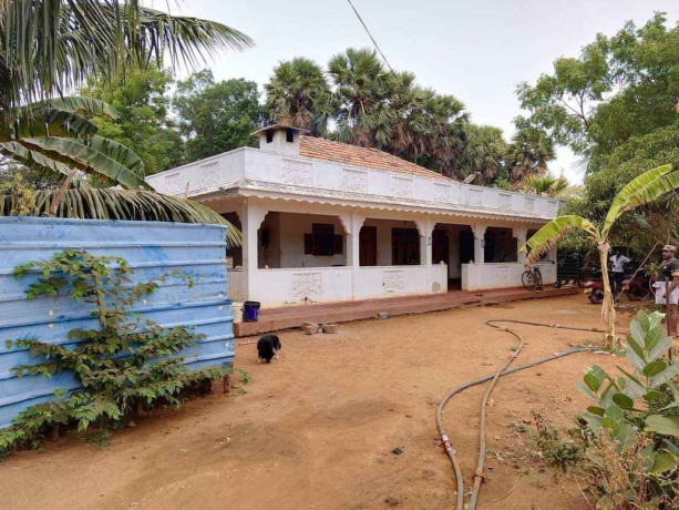 house-for-sale-in-maviddapuram-big-0