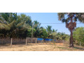 land-for-sale-in-jaffna-mirusuvil-small-0