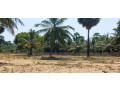 land-for-sale-in-jaffna-mirusuvil-small-1