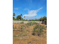 land-for-sale-in-urelu-jaffna-small-2