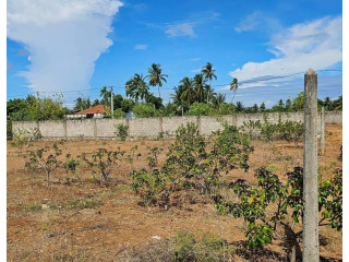 Land for sale in Urelu Jaffna