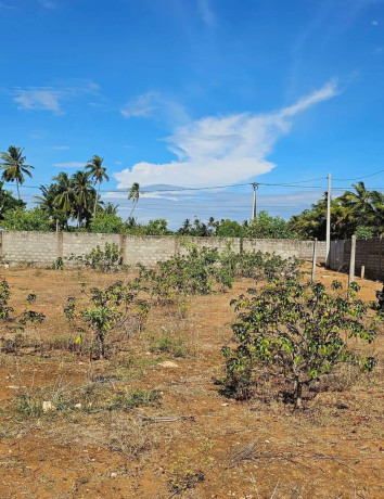 land-for-sale-in-urelu-jaffna-big-2