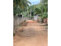 house-for-sale-in-vavuniya-small-4