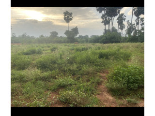 Land sale in kankesanthurai