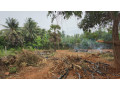 land-for-sale-in-neervely-jaffna-small-2