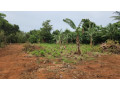 land-for-sale-in-neervely-jaffna-small-3