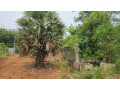 land-for-sale-in-neervely-jaffna-small-1