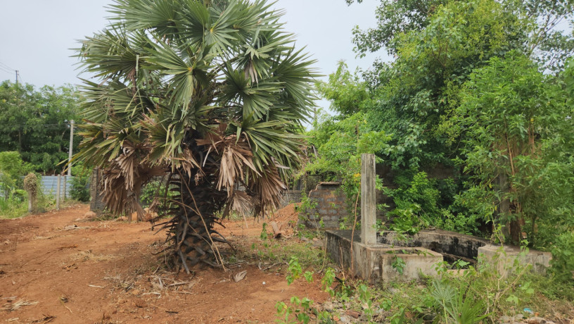 land-for-sale-in-neervely-jaffna-big-1