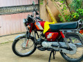 hero-honda-cd-100-bike-sale-in-jaffna-small-0