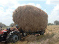 straw-sale-in-jaffna-sri-lanka-small-1