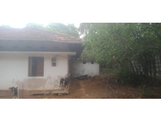 House for sale in Chavakachcheri
