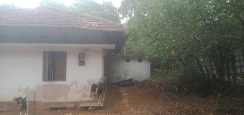 house-for-sale-in-chavakachcheri-big-0