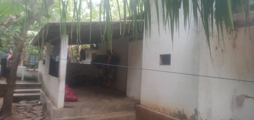 house-for-sale-in-chavakachcheri-big-1