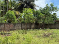 land-for-sale-in-pointpedro-jaffna-small-2