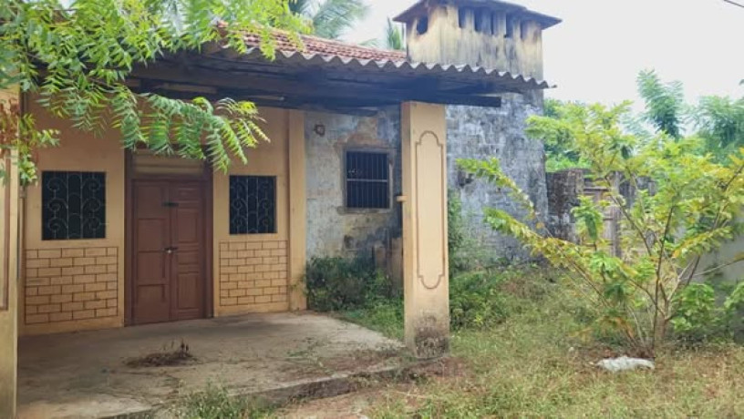 land-for-sale-in-jaffna-mallakam-big-0
