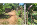 land-for-sale-in-jaffna-tellippalai-small-2