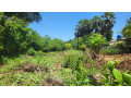 land-for-sale-in-jaffna-tellippalai-small-0