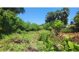 Land for sale in Jaffna Tellippalai
