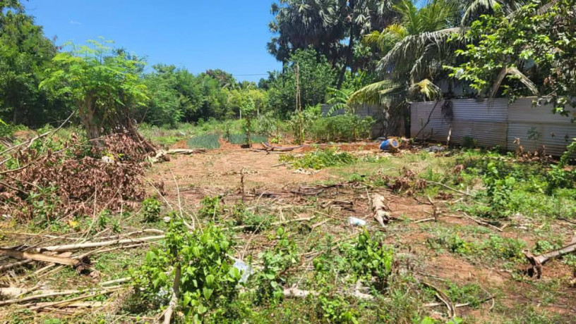 land-for-sale-in-jaffna-tellippalai-big-1