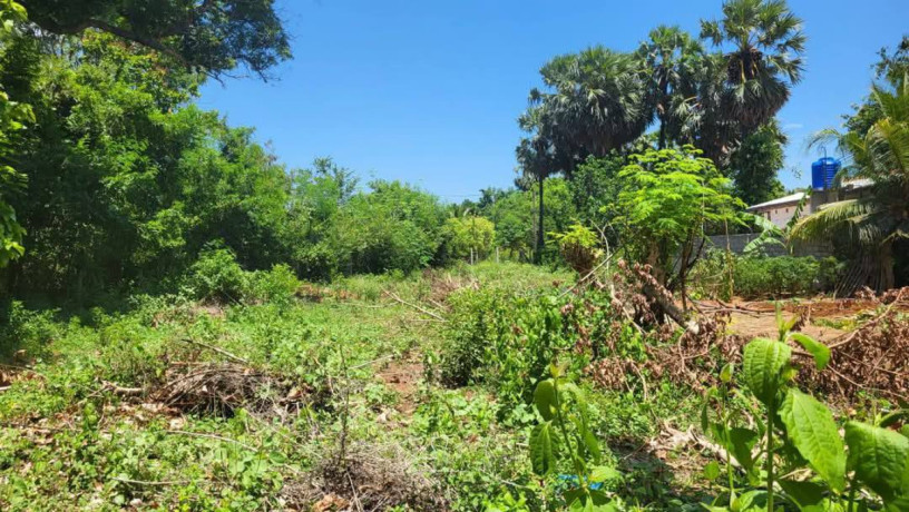 land-for-sale-in-jaffna-tellippalai-big-0