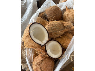 Coconut for sale in Jaffna