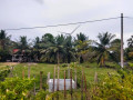 coconut-land-for-sale-in-chavakachcheri-small-0