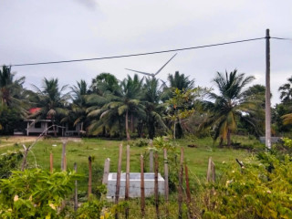 Coconut land for sale in chavakachcheri