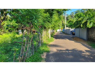 Land for sale in Manipay