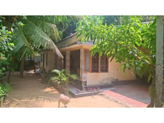 House for sale in Irupalai Jaffna