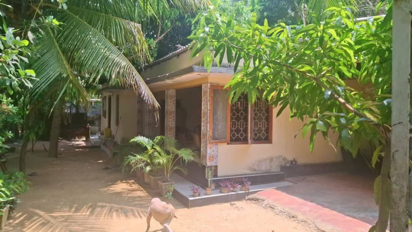 house-for-sale-in-irupalai-jaffna-big-0