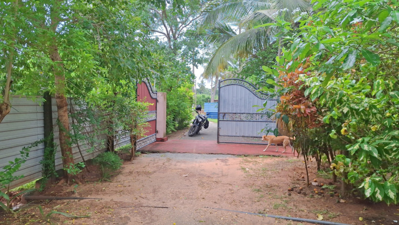 house-for-sale-in-kopay-jaffna-big-2