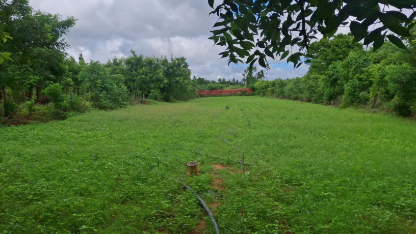 house-for-sale-in-kopay-jaffna-big-1