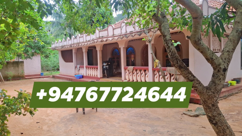 house-for-sale-in-kopay-jaffna-big-3