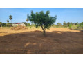 land-for-sale-in-thellippalai-jaffna-small-0