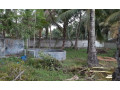 land-for-sale-in-vavuniya-small-0