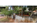house-for-sale-in-vavuniya-irambaikulam-small-2