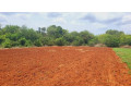 farm-land-sale-in-jaffna-small-3