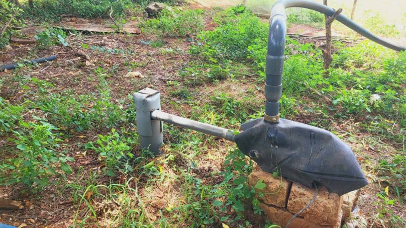 farm-land-sale-in-jaffna-big-0