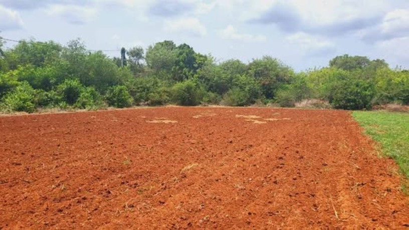 farm-land-sale-in-jaffna-big-3