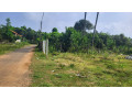 land-for-sale-in-jaffna-tellippalai-small-0