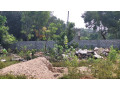 land-for-sale-in-jaffna-tellippalai-small-3