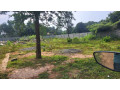 land-for-sale-in-jaffna-tellippalai-small-2