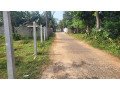 land-for-sale-in-jaffna-tellippalai-small-1