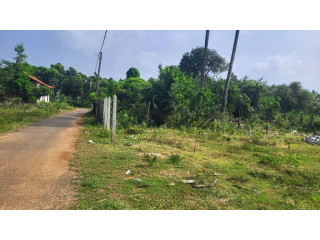 Land for sale in Jaffna Tellippalai