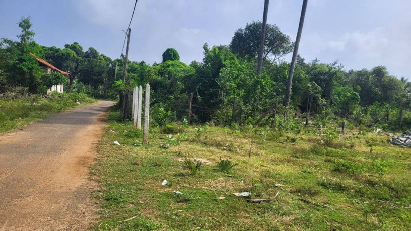 land-for-sale-in-jaffna-tellippalai-big-0