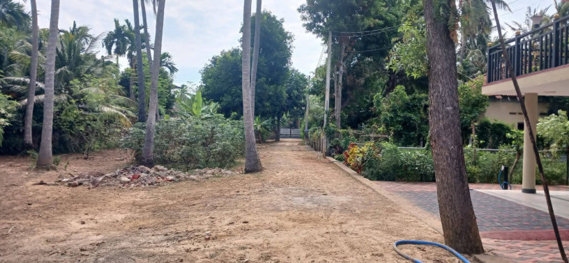 land-for-sale-in-jaffna-kalviyankadu-big-1
